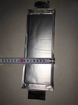 聚合物理電池